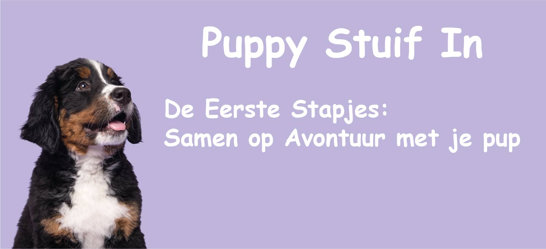 Puppy Cursus ‘Puppy Stuif In’